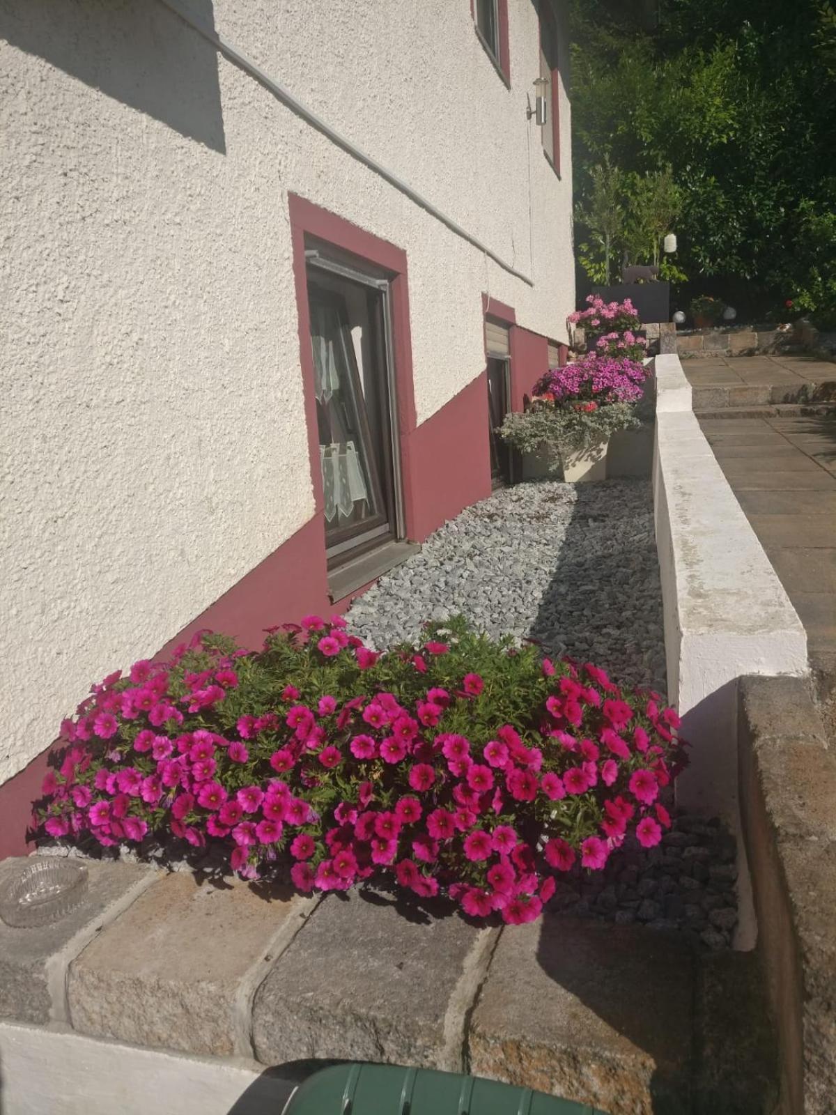 Apartments In Behringersmuehle Gossweinstein Εξωτερικό φωτογραφία